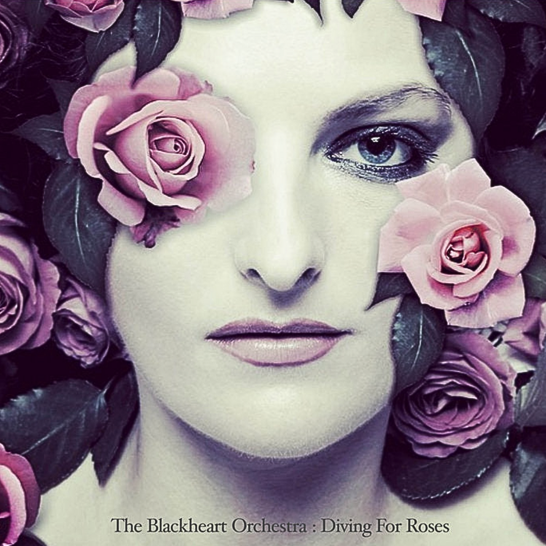 The Blackheart Orchestra - Diving For Roses [LP] Black - Renaissance Records US